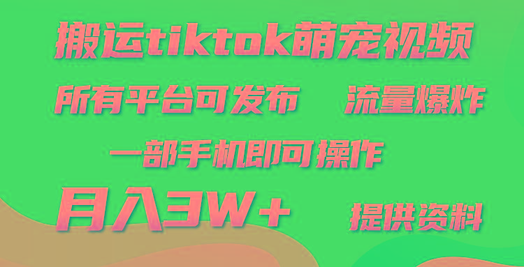 (9618期)搬运Tiktok萌宠类视频，一部手机即可。所有短视频平台均可操作，月入3W+-游客之家
