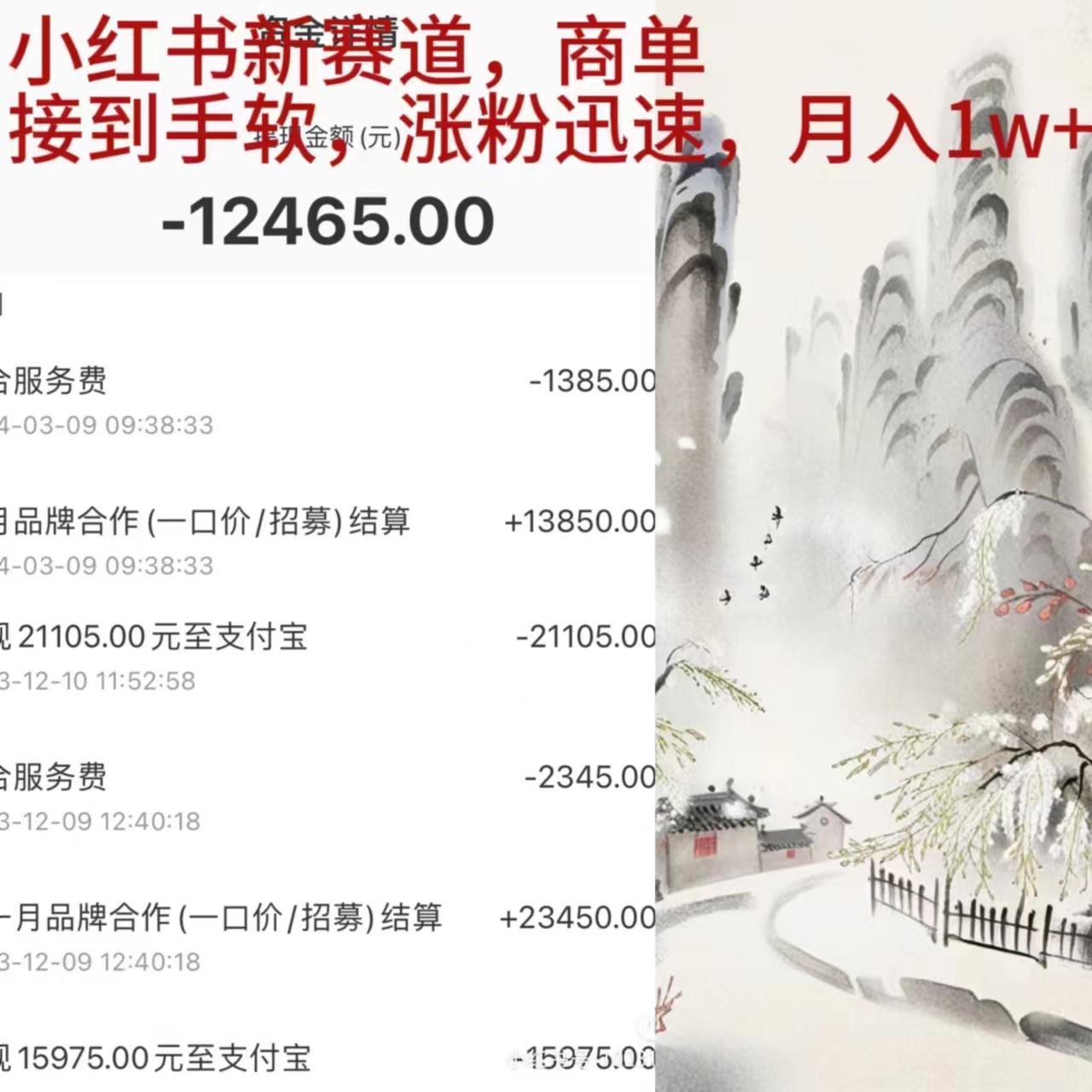 (9476期)小红书新赛道，商单接到手软，涨粉迅速，月入1w+-游客之家