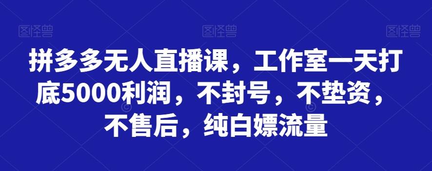 拼多多无人直播课，工作室一天打底5000利润，不封号，不垫资，不售后，纯白嫖流量-游客之家