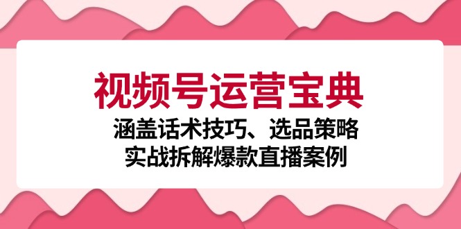 视频号运营宝典：涵盖话术技巧、选品策略、实战拆解爆款直播案例-游客之家