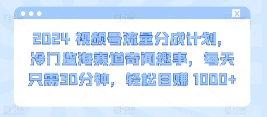 2024视频号流量分成计划，冷门监海赛道奇闻趣事，每天只需30分钟，轻松目赚 1000+【揭秘】-游客之家