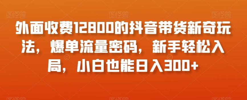 外面收费12800的抖音带货新奇玩法，爆单流量密码，新手轻松入局，小白也能日入300+【揭秘】-游客之家