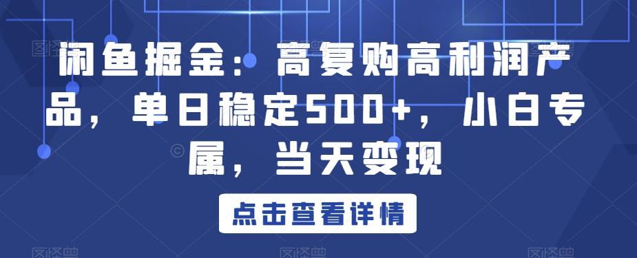 闲鱼掘金：高复购高利润产品，单日稳定500+，小白专属，当天变现-游客之家