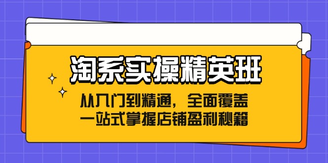 淘系实操精英班：从入门到精通，全面覆盖，一站式掌握店铺盈利秘籍-游客之家