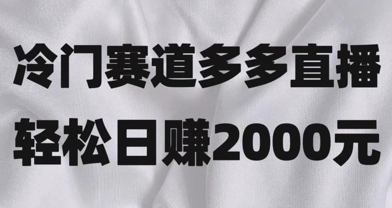 冷门赛道拼多多直播，简单念稿子，日收益2000＋【揭秘】-游客之家