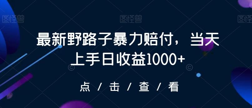 最新野路子暴力赔付，当天上手日收益1000+【仅揭秘】-游客之家
