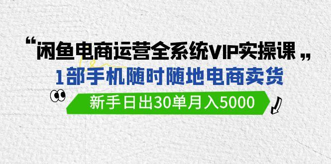(9547期)闲鱼电商运营全系统VIP实战课，1部手机随时随地卖货，新手日出30单月入5000-游客之家