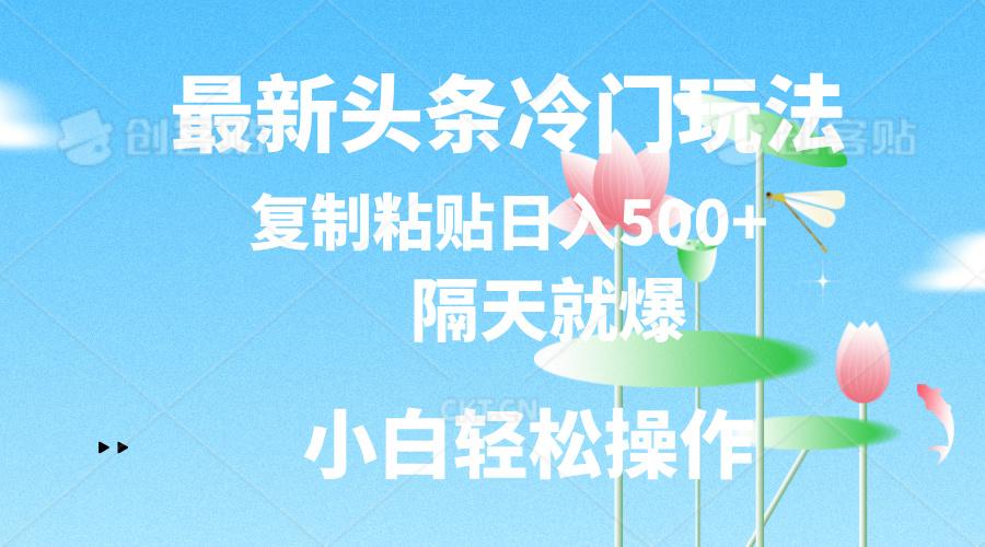 最新头条冷门玩法，隔天就爆，复制粘贴日入500+-游客之家