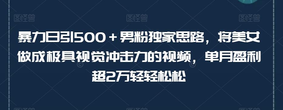 暴力日引500+男粉独家思路,将美女做成极具视觉冲击力的视频,单月盈利超2万轻轻松松-游客之家