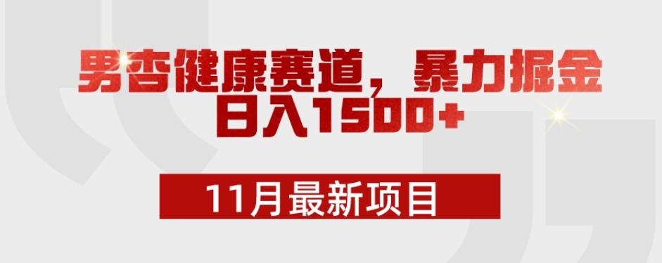 11月最新项目，男杏健康赛道，暴力掘金，日入1500+-游客之家