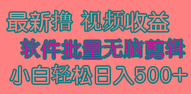 (9569期)发视频撸收益，软件无脑批量剪辑，第一天发第二天就有钱-游客之家