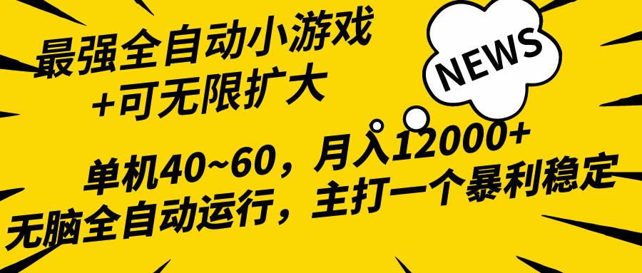 (10046期)2024最新全网独家小游戏全自动，单机40~60,稳定躺赚，小白都能月入过万-游客之家