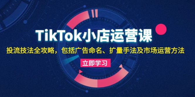 TikTok小店运营课：投流技法全攻略，包括广告命名 扩量手法及市场运营方法-游客之家
