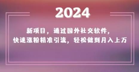 2024新项目，通过国外社交软件，快速涨粉精准引流，轻松做到月入上万【揭秘】-游客之家