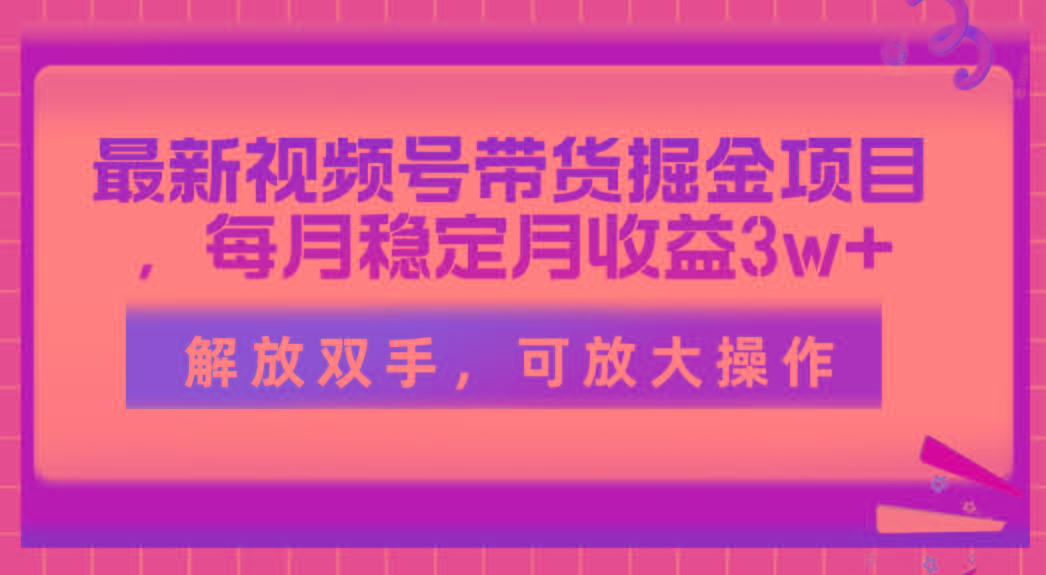 最新视频号带货掘金项目，每月稳定月收益3w+，解放双手，可放大操作-游客之家