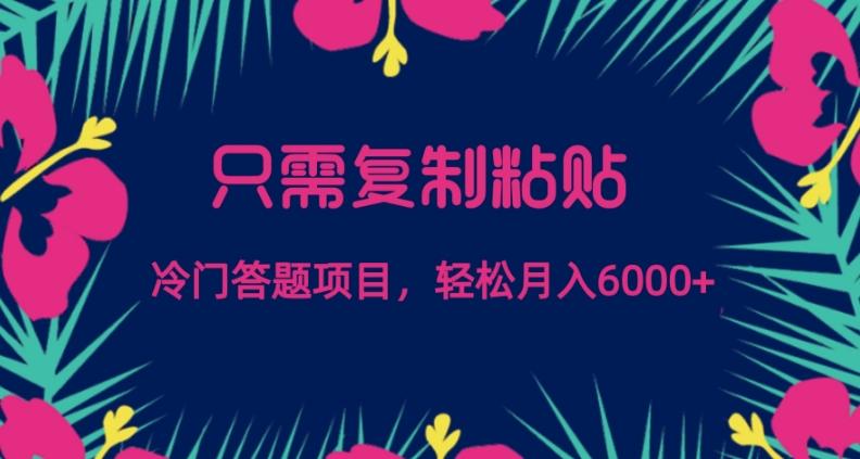 只需复制粘贴，冷门答题项目，轻松月入6000-游客之家