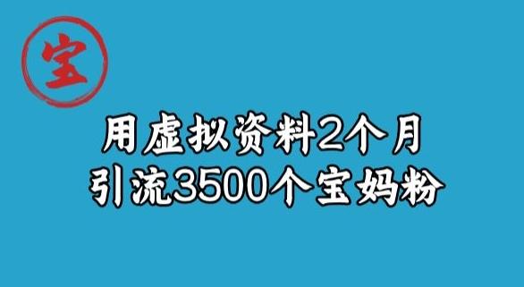 宝哥虚拟资料项目，2个月引流3500个宝妈粉-游客之家