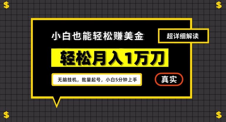 谷歌看广告撸美金2.0，无脑挂机，多号操作，月入1万刀【揭秘】-游客之家