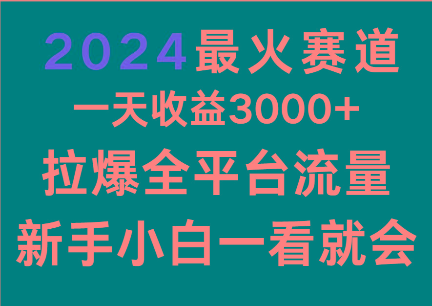2024最火赛道，一天收一3000+.拉爆全平台流量，新手小白一看就会-游客之家