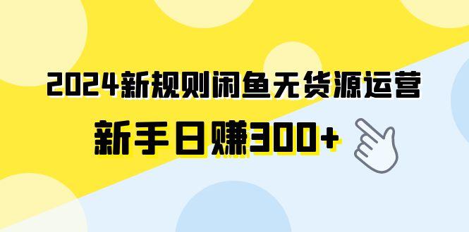 (9522期)2024新规则闲鱼无货源运营新手日赚300+-游客之家