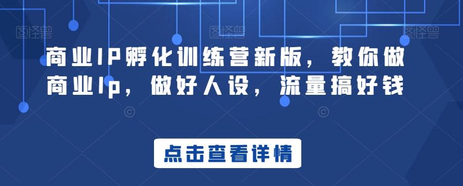 商业IP孵化训练营新版，教你做商业Ip，做好人设，流量搞好钱-游客之家