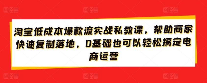 淘宝低成本爆款流实战私教课，帮助商家快速复制落地，0基础也可以轻松搞定电商运营-游客之家