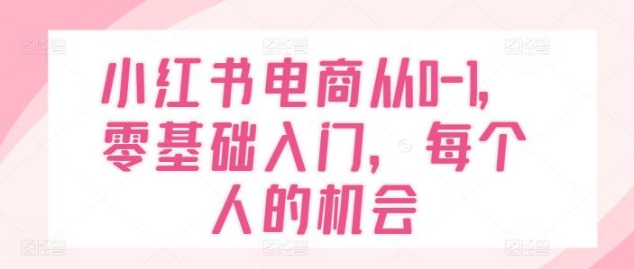 小红书电商从0-1，零基础入门，每个人的机会-游客之家