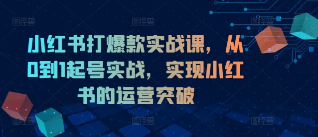 小红书打爆款实战课，从0到1起号实战，实现小红书的运营突破-游客之家