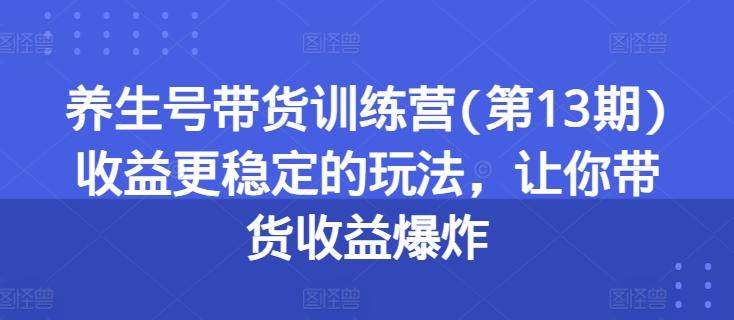 养生号带货训练营(第13期)收益更稳定的玩法，让你带货收益爆炸-游客之家