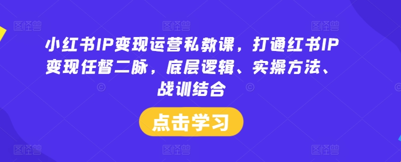 小红书IP变现运营私教课，打通红书IP变现任督二脉，底层逻辑、实操方法、战训结合-游客之家