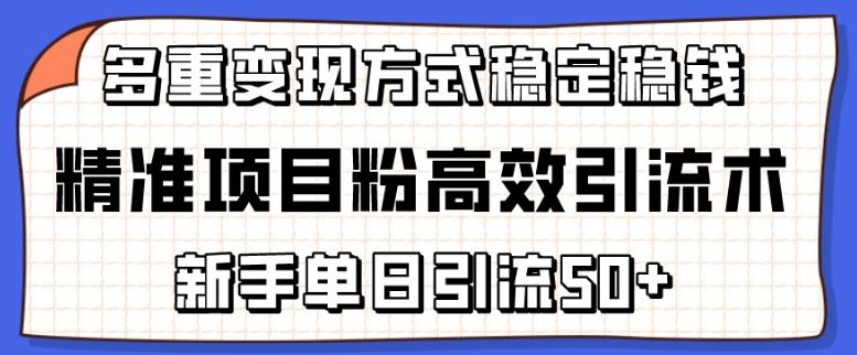 精准项目粉高效引流术，新手单日引流50+，多重变现方式稳定赚钱【揭秘】-游客之家