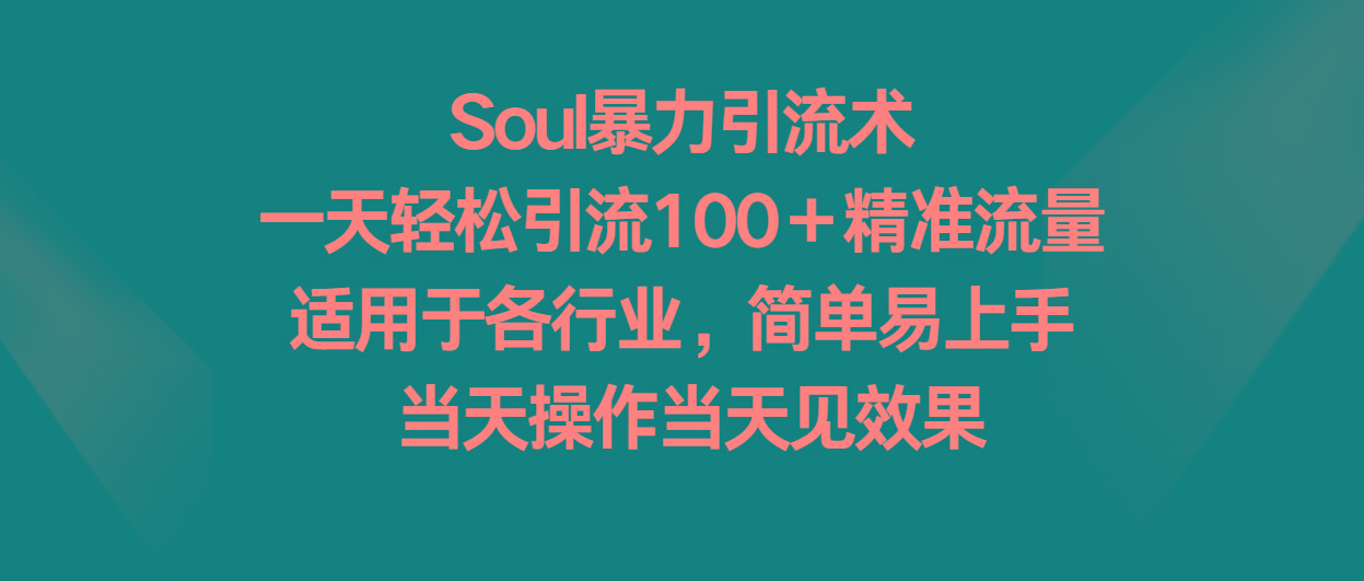 Soul暴力引流术，一天轻松引流100＋精准流量，适用于各行业，简单易上手！-游客之家