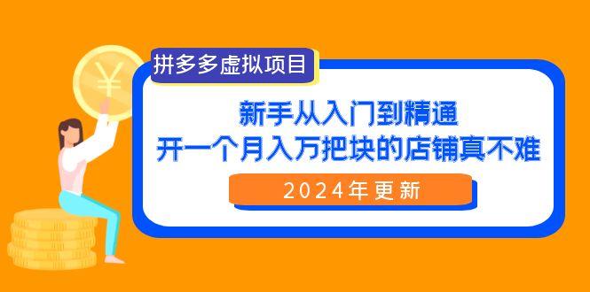 (9744期)拼多多虚拟项目：入门到精通，开一个月入万把块的店铺 真不难(24年更新)-游客之家