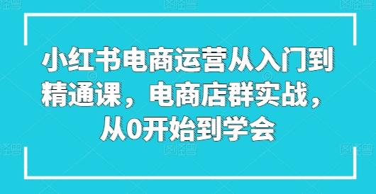 小红书电商运营从入门到精通课，电商店群实战，从0开始到学会-游客之家