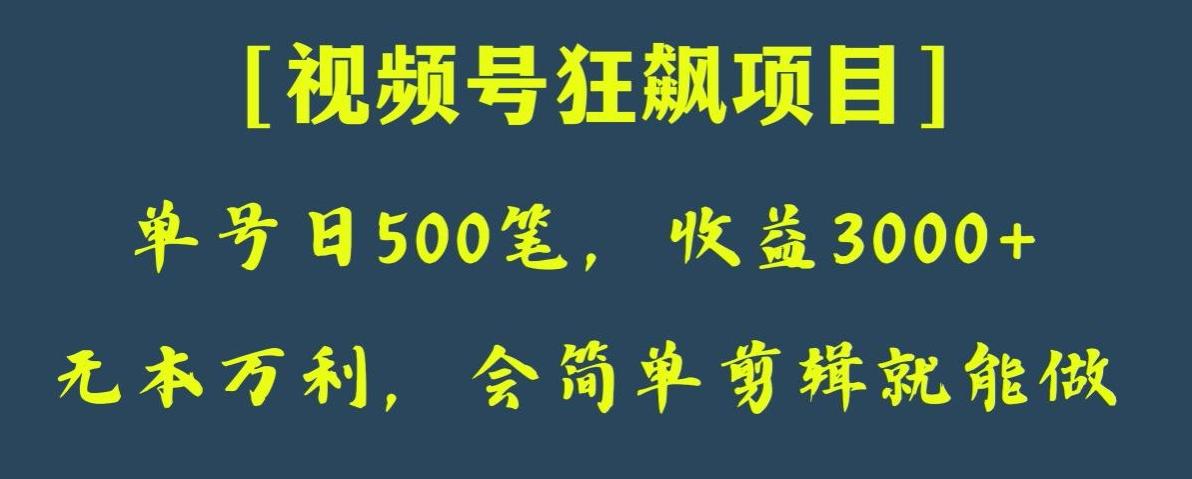 日收款500笔，纯利润3000+，视频号狂飙项目，会简单剪辑就能做【揭秘】-游客之家