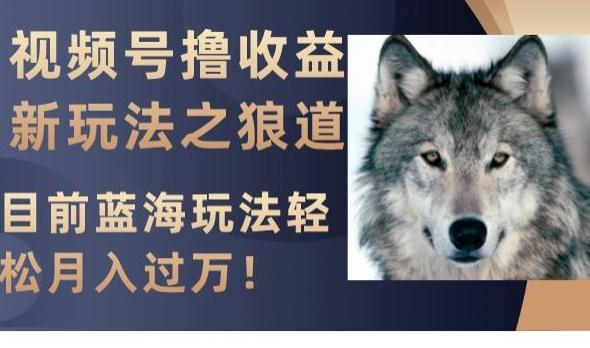 视频号撸收益新玩法之狼道，目前蓝海玩法，轻松月入过万【揭秘】-游客之家