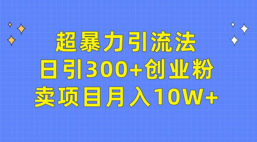 (9954期)超暴力引流法，日引300+创业粉，卖项目月入10W+-游客之家