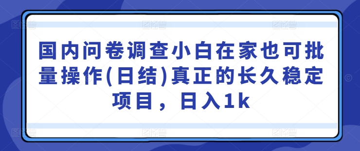 国内问卷调查小白在家也可批量操作(日结)真正的长久稳定项目，日入1k【揭秘】-游客之家
