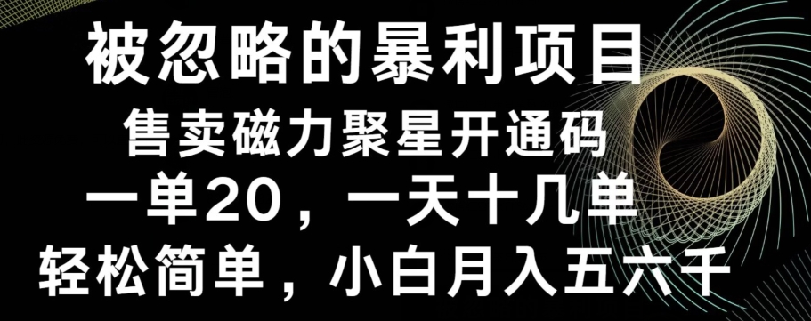 被忽略的暴利项目！售卖磁力聚星开通码，一单20，一天十几单，轻松月入五六千-游客之家