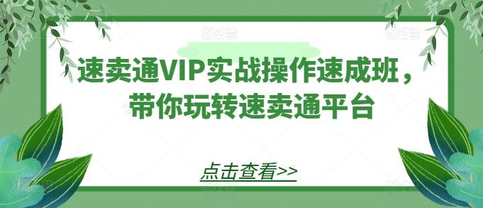 速卖通VIP实战操作速成班，带你玩转速卖通平台-游客之家