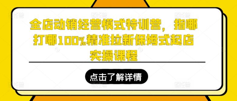 全店动销经营模式特训营，指哪打哪100%精准拉新保姆式起店实操课程-游客之家