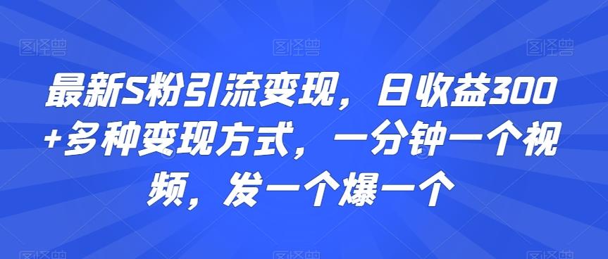 最新S粉引流变现，日收益300+多种变现方式，一分钟一个视频，发一个爆一个【揭秘】-游客之家