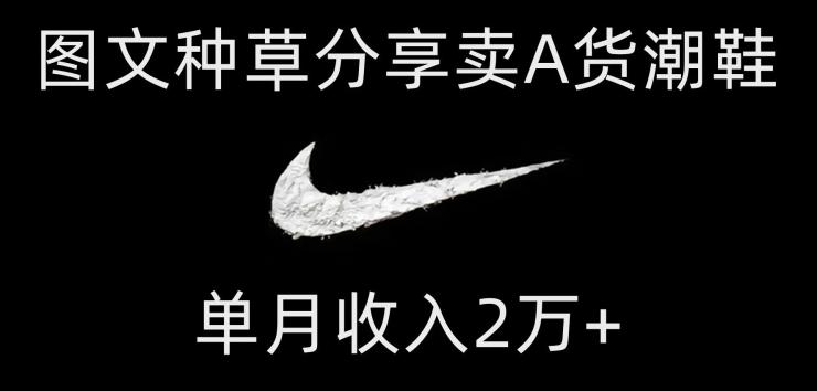 靠图文种草分享卖A货潮鞋，每天一小时，单月收入2万+【揭秘】-游客之家