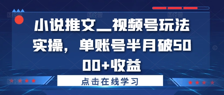 小说推文—视频号玩法实操，单账号半月破5000+收益-游客之家