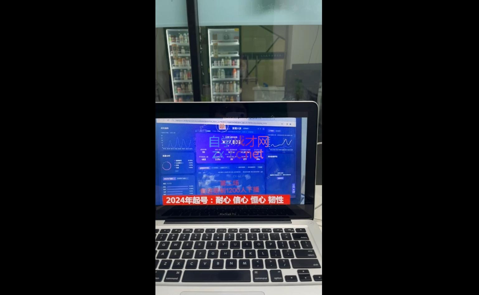 久久疯牛·打造运营型主播(更新10月)-游客之家