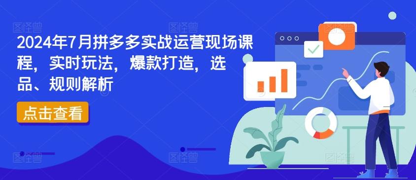 2024年7月拼多多实战运营现场课程，实时玩法，爆款打造，选品、规则解析-游客之家
