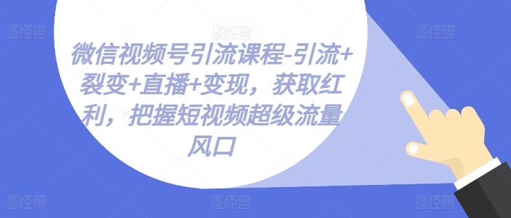 微信视频号引流课程-引流+裂变+直播+变现，获取红利，把握短视频超级流量风口-游客之家