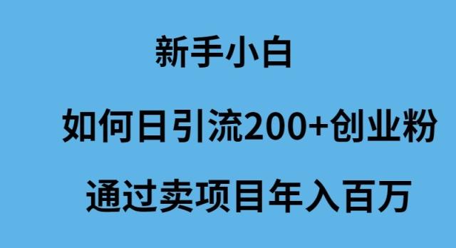 (9668期)新手小白如何日引流200+创业粉通过卖项目年入百万-游客之家
