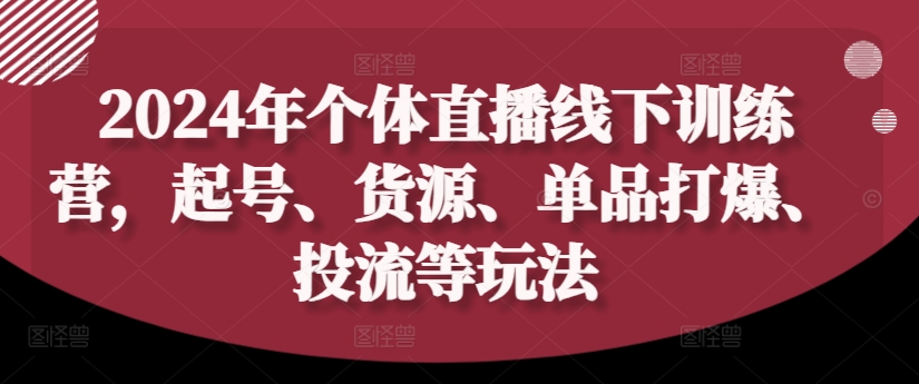 2024年个体直播训练营，起号、货源、单品打爆、投流等玩法-游客之家