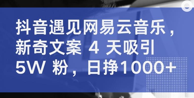 抖音遇见网易云音乐，新奇文案 4 天吸引 5W 粉，日挣1000+【揭秘】-游客之家